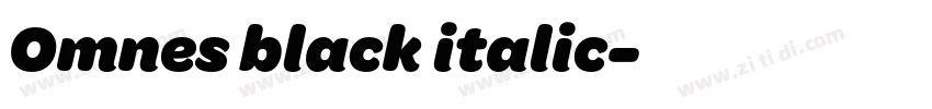 Omnes black italic字体转换 Omnes black italic字体转换